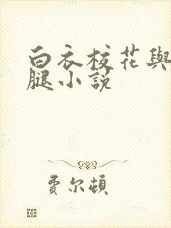 白衣校花与大长腿小说