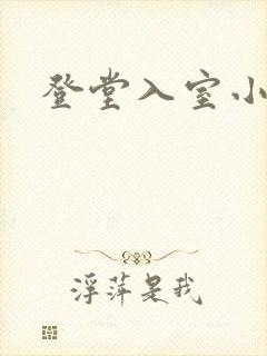 登堂入室小说