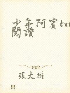 少年阿宾txt阅读