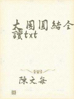大团圆结全文阅读txt