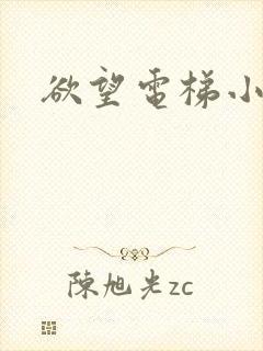 欲望电梯小说封面