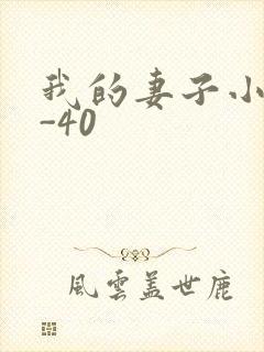 我的妻子小谨1-40