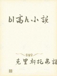 bl高h小说