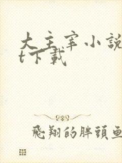 大主宰小说txt下载封面