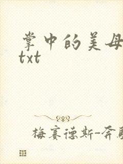 掌中的美母版主txt