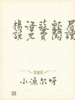 杨洛苏轻眉笔小说免费阅读封面