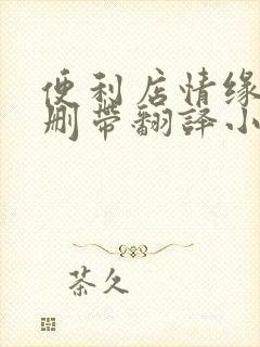 便利店情缘未增删带翻译小说封面