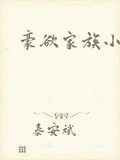 豪欲家族小说封面