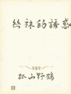 丝袜的诱惑小说