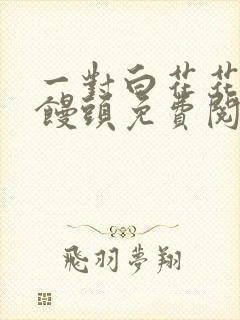 一对白花花的大馒头免费阅读封面