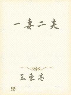 一妻二夫封面