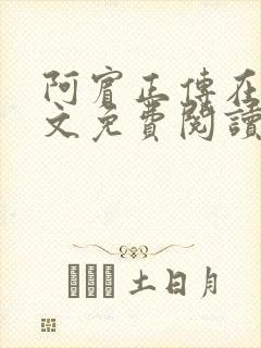 阿宾正传在线全文免费阅读无删减