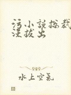 污小说总裁整夜没拔出