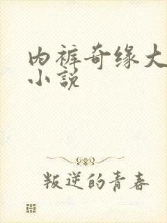 内裤奇缘大团结小说