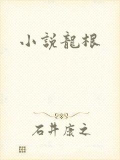 小说龙根