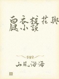 白衣校花与大长腿小说封面