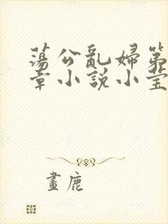 荡公乱妇第51章小说小莹