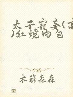 太子宠妾(高肉)红烧肉包封面