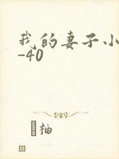 我的妻子小谨1-40