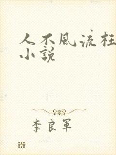 人不风流枉少年小说