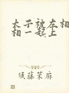 太子被左相和右相一起上