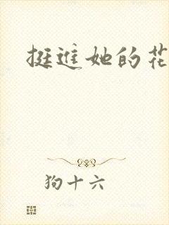 挺进她的花苞封面