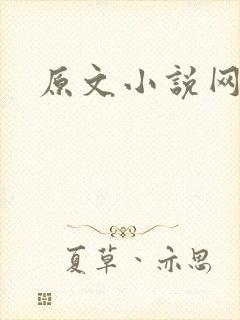 原文小说网