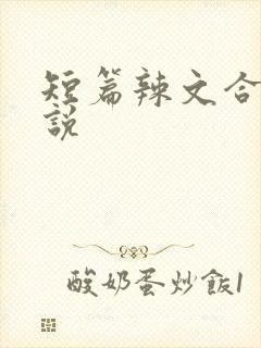短篇辣文合集小说