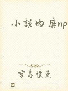 小说肉糜np