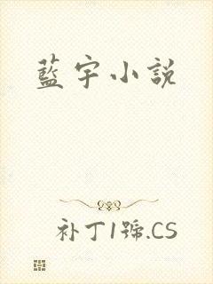 蓝宇小说
