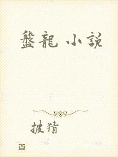 盘龙 小说