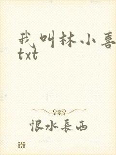 我叫林小喜小说txt封面