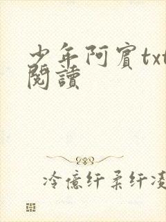 少年阿宾txt阅读
