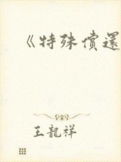 《特殊偿还》封面