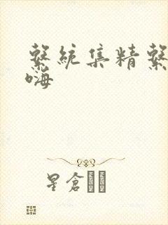 系统集精系统高嗨