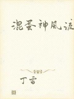 混蛋神风流记封面