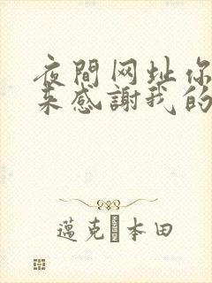 夜间网址你会回来感谢我的封面