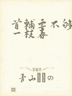 首辅要不够po一枝春