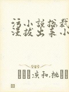 污小说总裁整夜没拔出来小说在线阅读