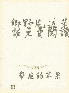 乡野风流叶凡小说免费阅读