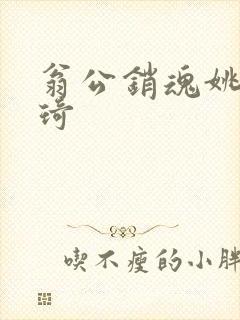 翁公销魂姚瑶琦琦封面