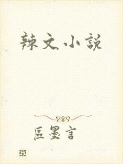 辣文小说