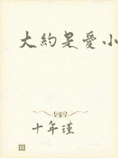 大约是爱小说