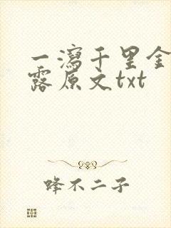 一泻千里金银花露原文txt