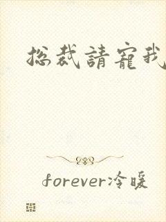 总裁请宠我封面