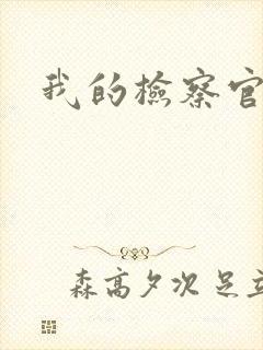 我的检察官先生