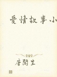 爱情故事小说