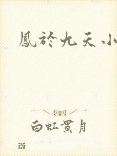凤于九天小说