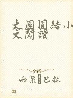 大团圆结小茹全文阅读
