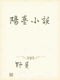 阳台小说